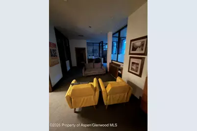 510 E Hyman Avenue #21, Aspen, CO 81611 - Photo 12