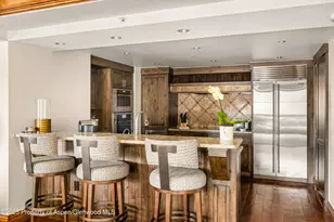 315 E Dean St B51, Aspen, CO 81611 - Photo 8