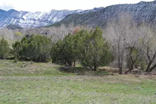 960 Co Rd 245, New Castle, CO 81647 - Photo 1