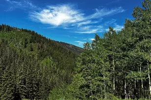 2601 Midnight Mine Road Rd, Aspen, CO 81611 - Photo 1