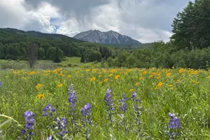 Tdr Tdr, Aspen, CO 81611 - Photo 1