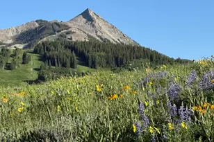 Tdr Tdr, Aspen, CO 81611 - Photo 1