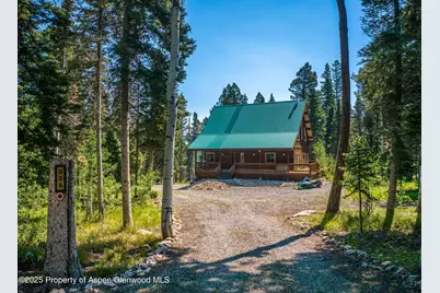 608 Snowshoe Lane, Cimarron, CO 81220 - Photo 1