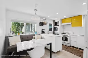 306 Oak Ln, Aspen, CO 81611 - Photo 1
