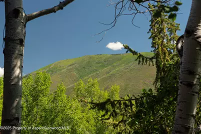 210 S West End Street, Aspen, CO 81611 - Photo 1