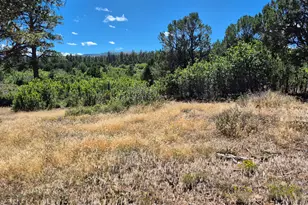 1620 Wildcat Canyon Rd, Montrose, CO 81403 - Photo 1
