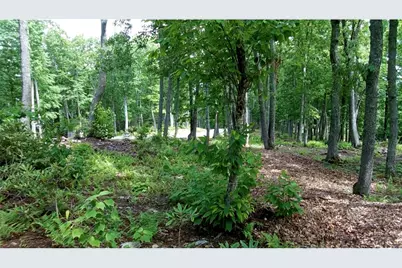 Lot  31 Boulder Cay Road, Boone, NC 28607 - Photo 10