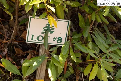 Tbd Lot 8 Solitude Lane, Todd, NC 28684 - Photo 2