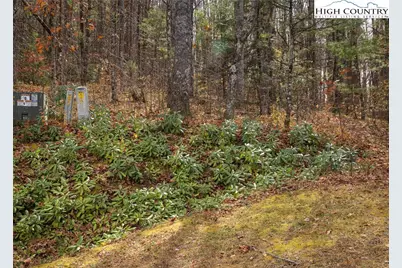 Tbd Lot 20 Solitude Lane, Todd, NC 28684 - Photo 4