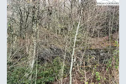 Lot 17 Cielo Road, Blowing Rock, NC 28605 - Photo 2