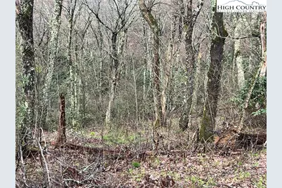 Lot 17 Cielo Road, Blowing Rock, NC 28605 - Photo 4