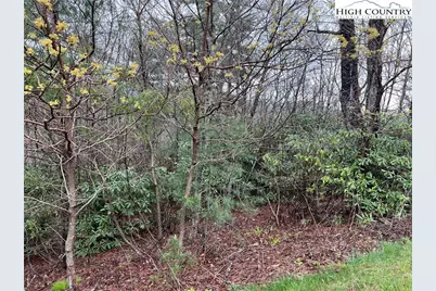 Lot 23 Cielo Road, Blowing Rock, NC 28605 - Photo 2