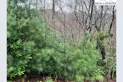 Lot 23 Cielo Road, Blowing Rock, NC 28605 - Photo 4