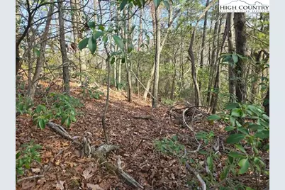 Lot 10 Heavenly Mountain Drive, Boone, NC 28607 - Photo 2