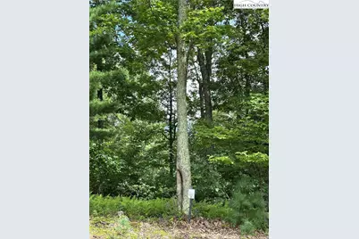 Two Lots: 9 & 10 Sunset Ridge Drive, Boone, NC 28607 - Photo 6