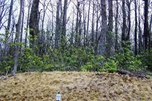 Lot 11 12 Sunset Ridge Dr, Boone, NC 28607 - Photo 1