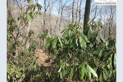 Lot 14 Saul's Camp Road, Blowing Rock, NC 28605 - Photo 6