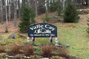 Tbd Hope Town Rd, Vilas, NC 28692 - Photo 1