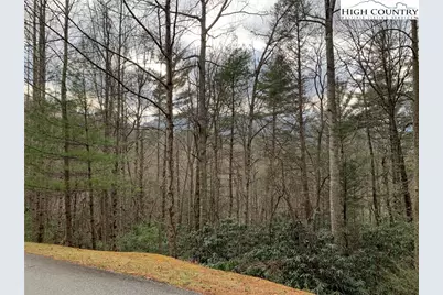 Tbd Hope Town Road, Vilas, NC 28692 - Photo 6