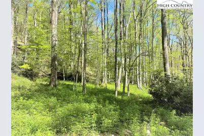 Lots 86, 87 & 88 Possum Hollow Road, Blowing Rock, NC 28605 - Photo 32