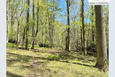 Lots 86, 87 & 88 Possum Hollow Road, Blowing Rock, NC 28605 - Photo 30
