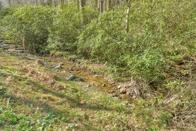 Lots 86, 87 & 88 Possum Hollow Road, Blowing Rock, NC 28605 - Photo 8