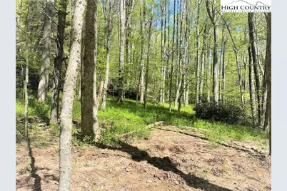 Lots 86, 87 & 88 Possum Hollow Road, Blowing Rock, NC 28605 - Photo 38