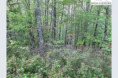 Tbd Lot #21R Pinnacle Ridge, Todd, NC 28684 - Photo 4
