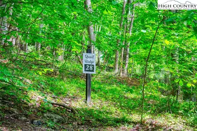 Lot 28 Quail Ridge Drive, Fleetwood, NC 28626 - Photo 2