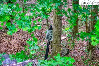 Lot 19 Quail Ridge Drive, Fleetwood, NC 28626 - Photo 2