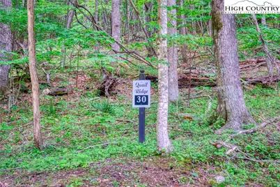 Lot 30 Quail Ridge Drive, Fleetwood, NC 28626 - Photo 2
