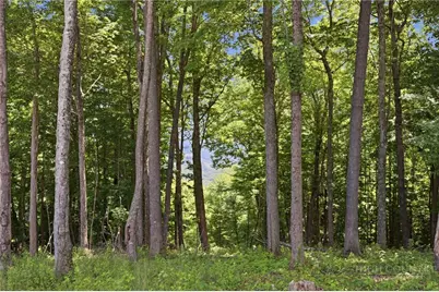 Lot 64 Poplar Forest Drive, Boone, NC 28607 - Photo 8