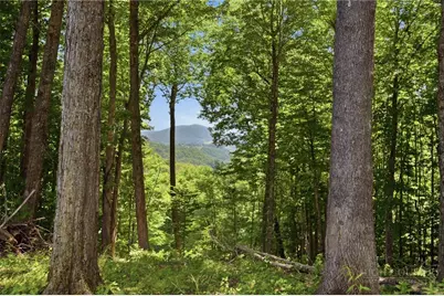 Lot 64 Poplar Forest Drive, Boone, NC 28607 - Photo 6