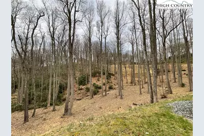 #32 South Creek Drive, Boone, NC 28607 - Photo 6