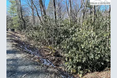 252 Greenbriar Road, Beech Mountain, NC 28604 - Photo 6