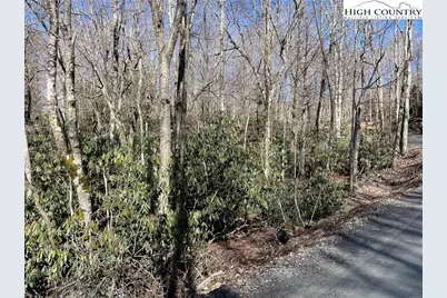 252 Greenbriar Road, Beech Mountain, NC 28604 - Photo 4