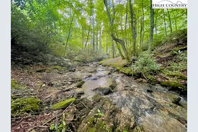 104 Gray Cliffs Way, Blowing Rock, NC 28605 - Photo 44