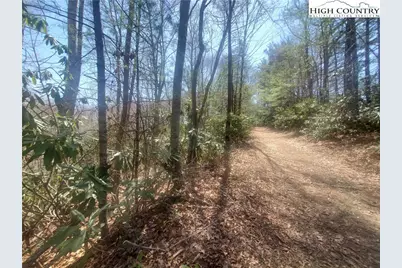 Tbd Falcon Ridge Trail, West Jefferson, NC 28694 - Photo 8