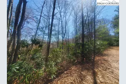Tbd Falcon Ridge Trail, West Jefferson, NC 28694 - Photo 10