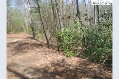 Tbd Falcon Ridge Trail, West Jefferson, NC 28694 - Photo 6