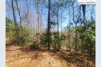 Tbd Falcon Ridge Trail, West Jefferson, NC 28694 - Photo 1