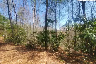 Tbd Falcon Ridge Trail, West Jefferson, NC 28694 - Photo 1