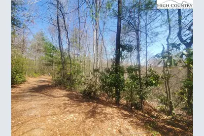 Tbd Falcon Ridge Trail, West Jefferson, NC 28694 - Photo 2