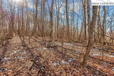 Tbd Roaring Branch Road, Lansing, NC 28643 - Photo 14