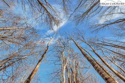 Tbd Roaring Branch Road, Lansing, NC 28643 - Photo 18