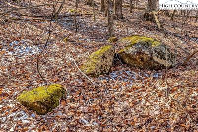 Tbd Roaring Branch Road, Lansing, NC 28643 - Photo 26