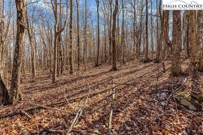 Tbd Roaring Branch Road, Lansing, NC 28643 - Photo 16