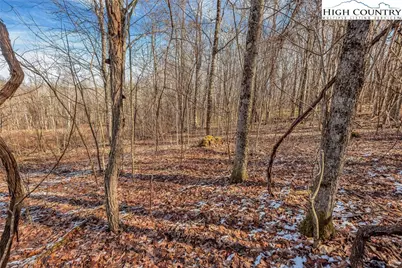 Tbd Roaring Branch Road, Lansing, NC 28643 - Photo 2