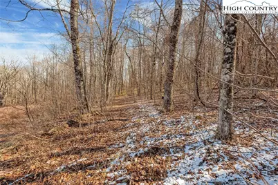 Tbd Roaring Branch Road, Lansing, NC 28643 - Photo 12