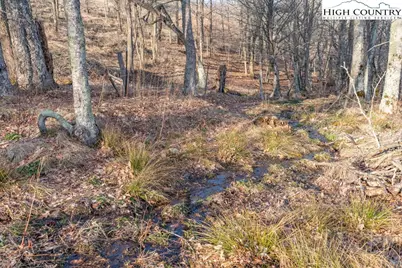 26 Great Sky Drive, Banner Elk, NC 28604 - Photo 8